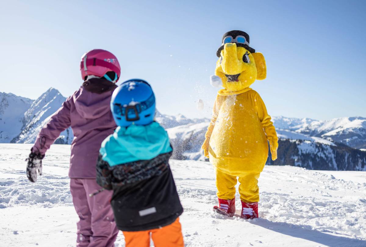 Zillertal Arena